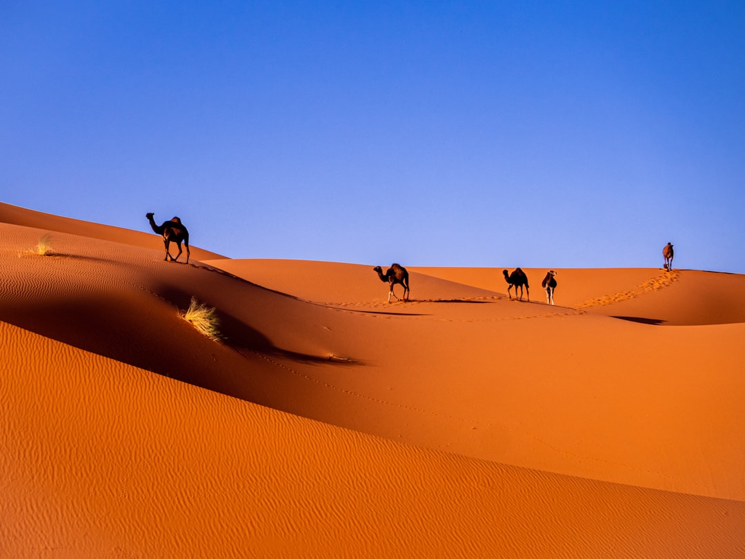 Western Sahara