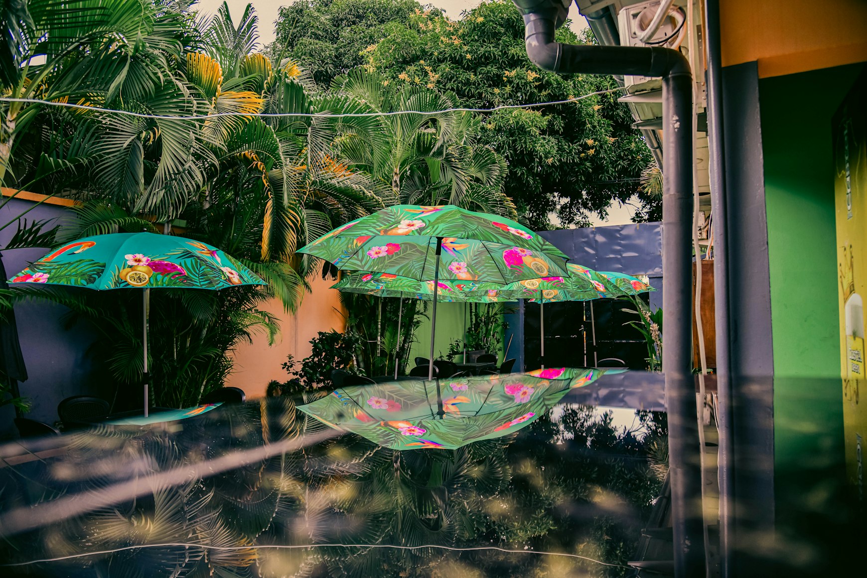 Democratic Republic of the Congo